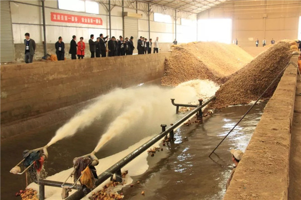 红薯淀粉加工建厂选址，保证“三通”很重要
