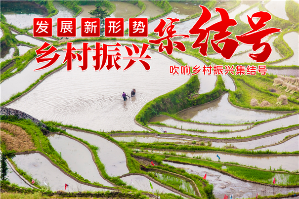 乡村振兴