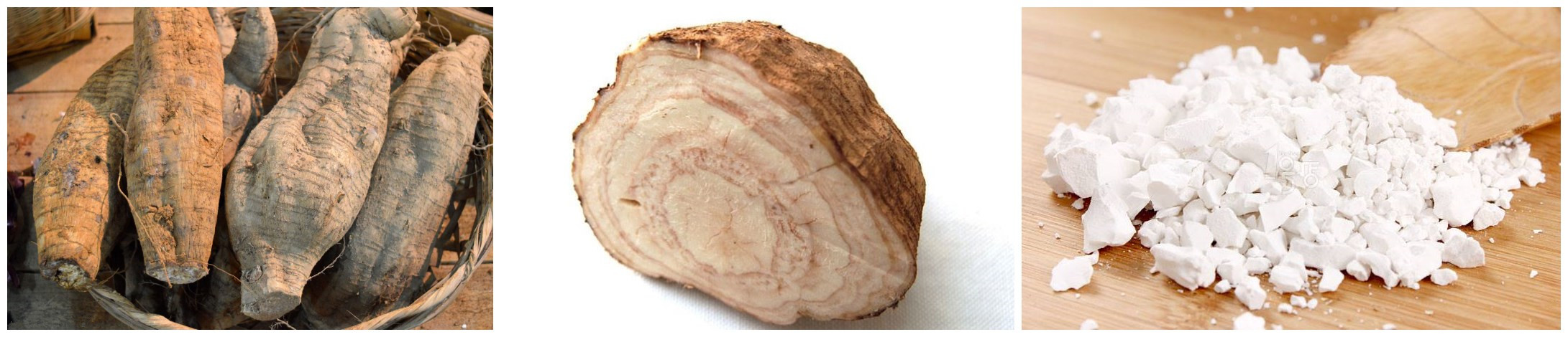 initpintu_副本316.jpg