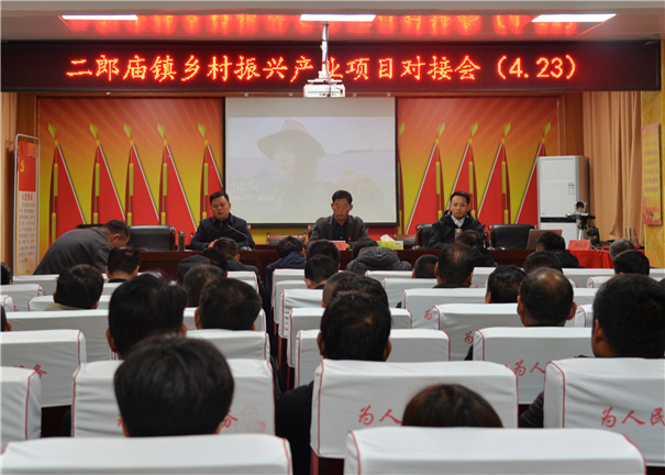 乡村振兴推介会