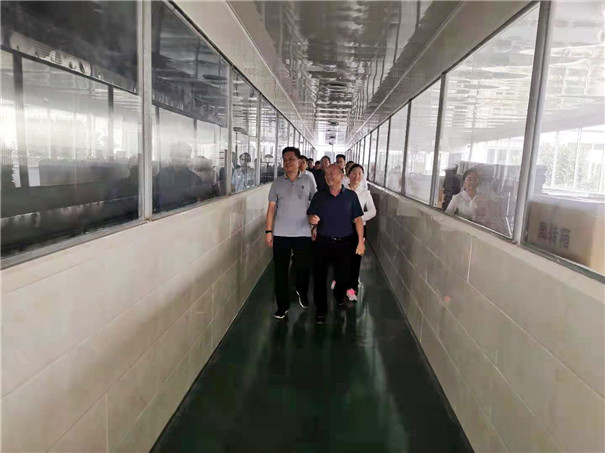 观摩团参观固德威车间