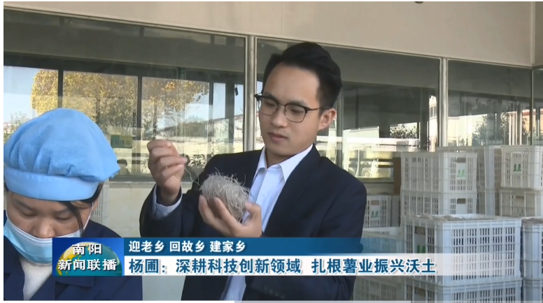 总经理杨圃