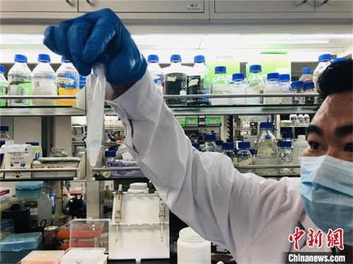 厉害了我的国！西北风真能喝饱了，中国首次实现二氧化碳人工合成淀粉