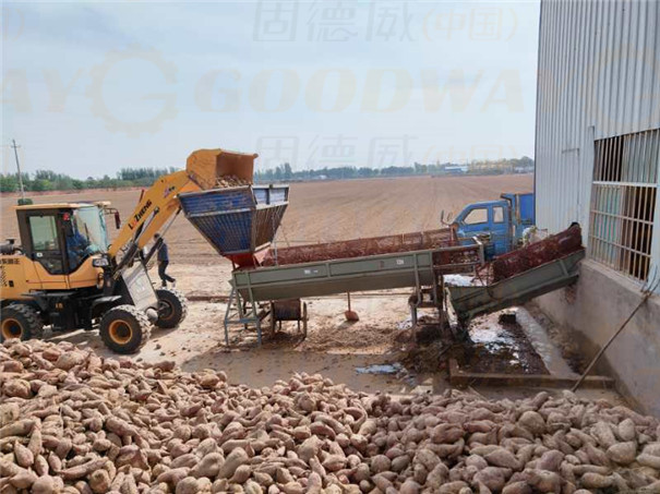 红薯淀粉加工建厂选址，保证“三通”很重要