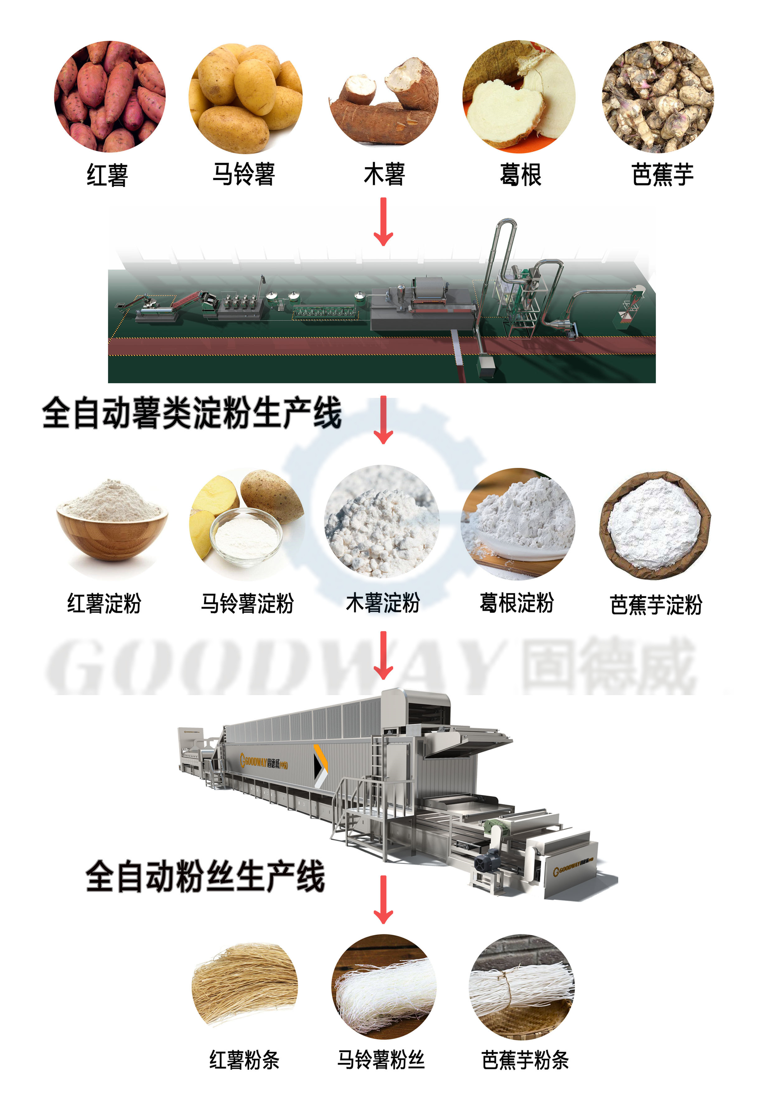 固德威三条大型红薯加工生产线 【淀粉+粉条+方便粉丝】 全部交货 发往安徽界首