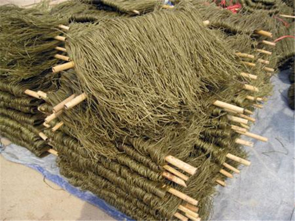在红薯粉条加工行业，无矾工艺的粉条机先进更具优势