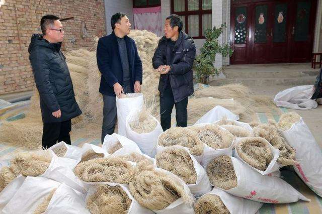 为何纯红薯粉丝需求大 为何纯红薯粉丝需求大