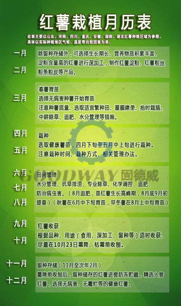 红薯栽植月历表_副本.jpg